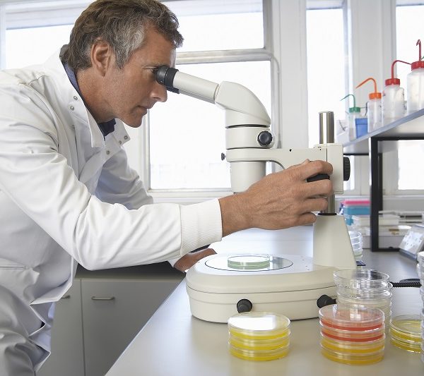 L’oncogénétique dans la prise en charge du cancer du sein