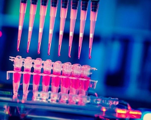 Lutte contre le Cancer : l’ARN messager au cœur des avancées thérapeutiques