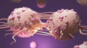Thérapies ciblées cancer du sein