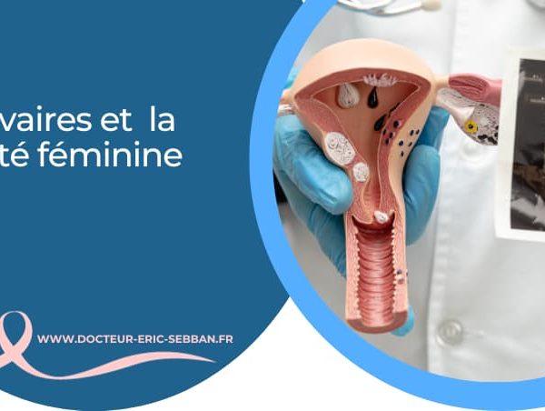 Les ovaires: taille, fonctions & syndrome des ovaires polykystiques
