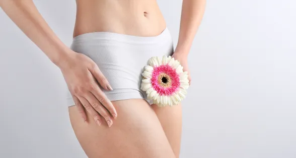 l'hypertrophie des petites lèvres hypertrophie des petites lèvres